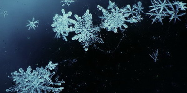 В Приморском крае ожидается сильный снег 