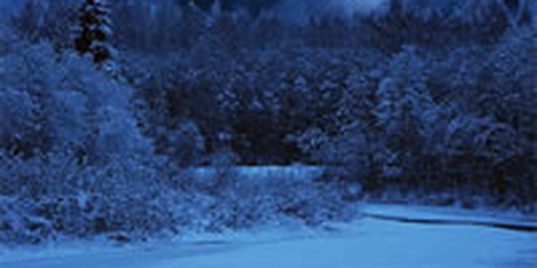 Сегодня самая длинная и морозная ночь в году