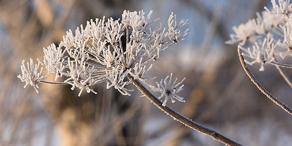 В ближайшие двое суток в Приморье немного потеплеет