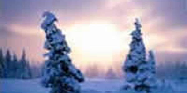 Ближайшей ночью снегопады останутся гостить в Приморье