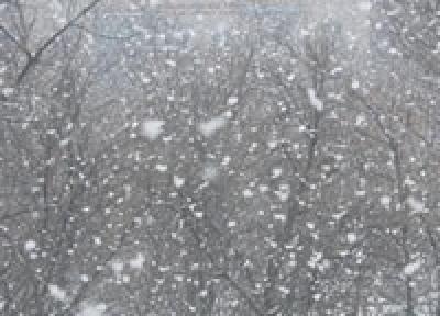 Сегодня в Хабаровске выпал первый снег