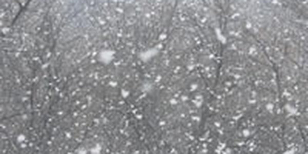 Приморцы ждут снег, а на Сахалине сегодня метель