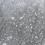 Сегодня в Хабаровске выпал первый снег