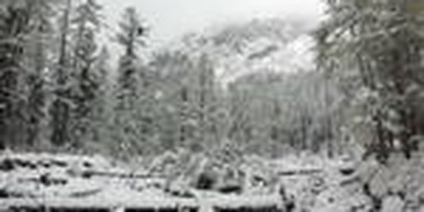 Артем приходит в себя после стихии