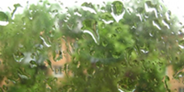 В выходные дни на юге Приморья пройдут осадки