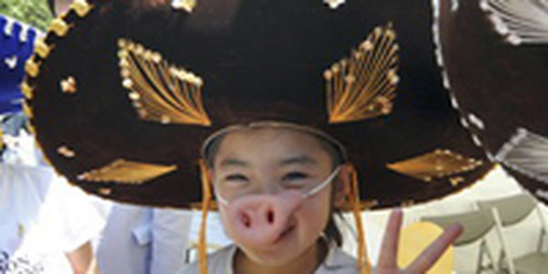 Свиной грипп: паника распространяется быстрее вируса (ФОТО)