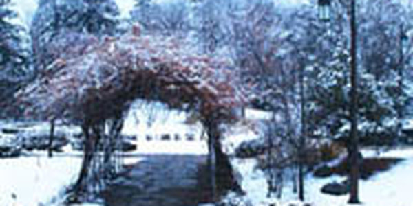 Наиболее значимые погодно-климатические события за 2008 год