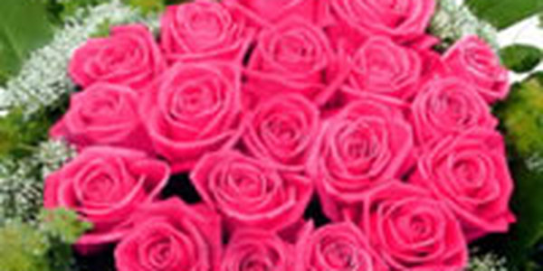 8 и 9 марта в Приморье установится замечательная весенняя погода. Наслаждайтесь!