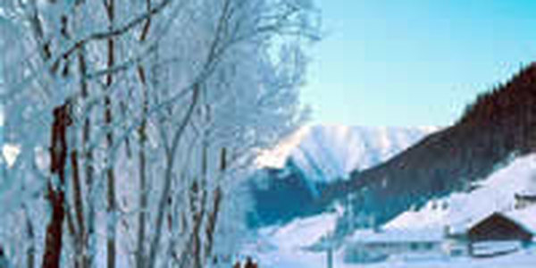 Любителям горнолыжных трасс пора начищать лыжи