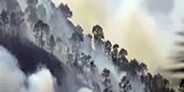 На Канарских островах из-за лесных пожаров эвакуированы 500 человек