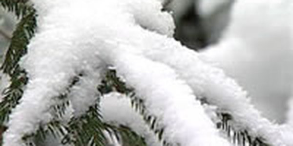 Погода в выходные побалует приморцев теплом