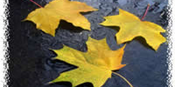 Подписка на погоду за 1.4 рубля в день — доступный сервис для каждого!