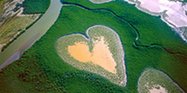 Тропический циклон 