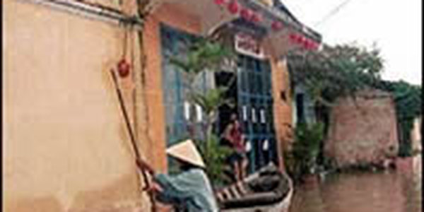 Наводнение освободило крокодилов