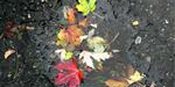 Солнце вернется в воскресенье и обогреет Приморье