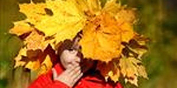 Не за горами зима в Приморье, и все чаще ощущается ее приближение