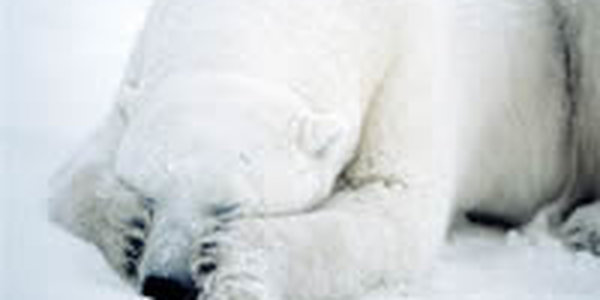 Температурные рекорды в России продолжаются