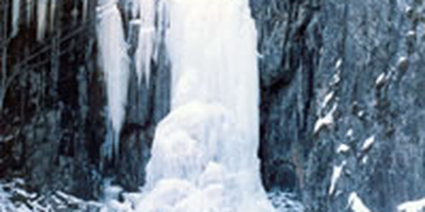 Проказница-зима спешит в Приморье