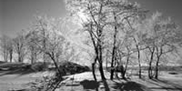 Первая декада февраля в Приморье выдалась сухой