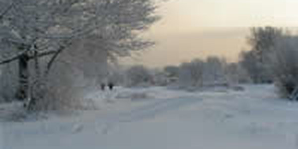 До конца текущей недели в Приморье сохранится умеренно- морозная погода