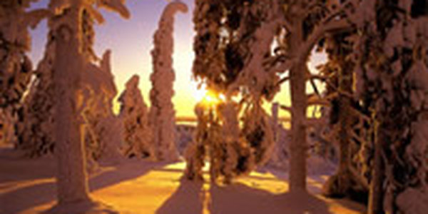 Текущая неделя в Приморье ожидается теплой