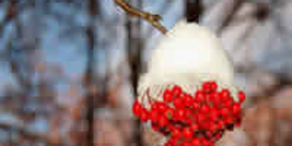 Завтра в Приморье возможен небольшой снег