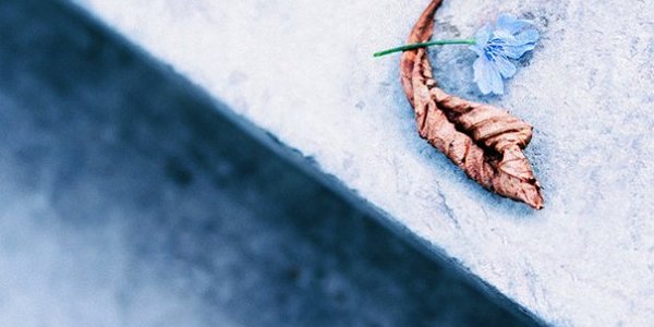 В крае ожидается похолодание