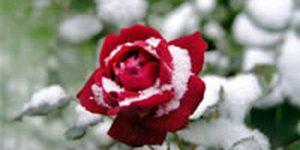 В Приморском крае потеплеет