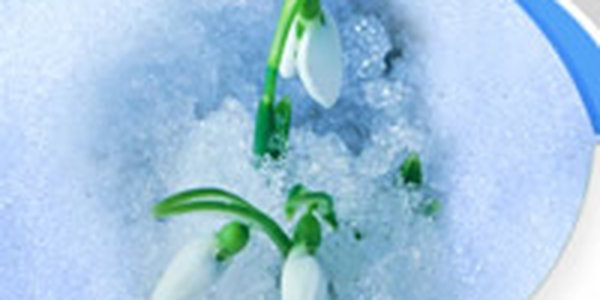 Капризный апрель гостит в Приморье