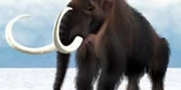 В Калифорнии строители обнаружили останки мамонта