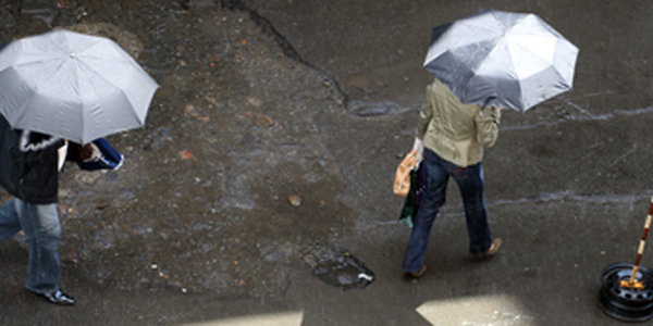 Дождь&Солнце - день чудесный!