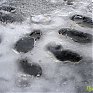 Владивосток проснулся в ледовом панцире 
