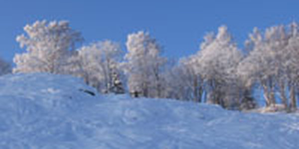 Циклон миновал Владивосток