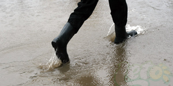 Скоро дожди покинут Приморье!