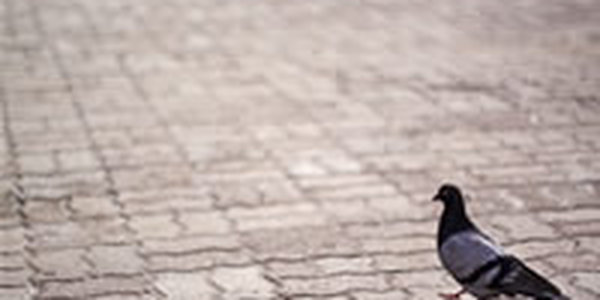 Новый циклон из Китая принесет тепло в Приморье