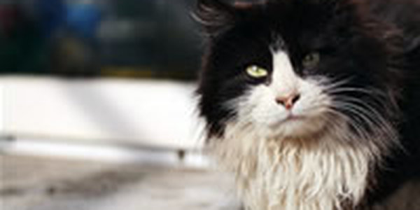 Первые десять дней февраля в Приморье были весьма теплыми