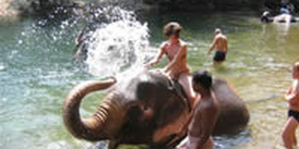 Жители Индии стали жертвами испепеляющей жары