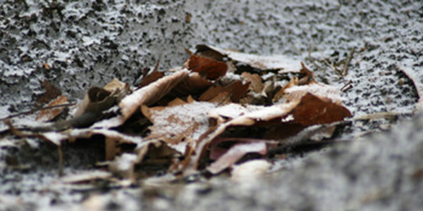 Ночной снег - утренний подарок городу! 