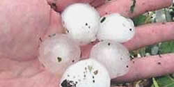 Огромный град разрушил множество ферм в Кубани