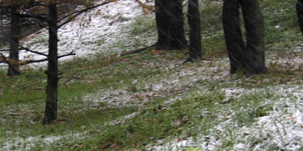 ФОТОдыхание зимы ноябрьским утром