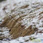 Весенний циклон закружил Владивосток снегом 