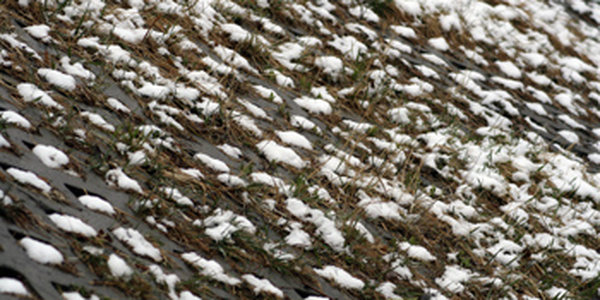 Весенний циклон закружил Владивосток снегом 