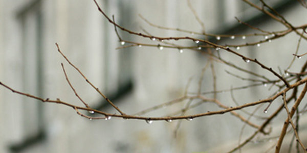 Погода в Приморье постепенно улучшается