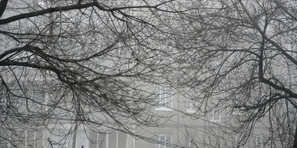 Туман налип на все вокруг 