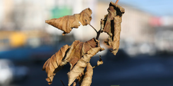 Ноябрь пролетел. Каким он был?