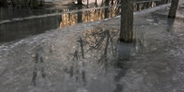 В Сочи в середине зимы пришла весна