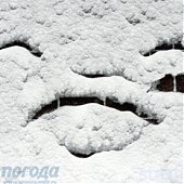 Предновогодний снегопад - подарок Владивостоку! 