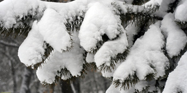 Предновогодний снегопад - подарок Владивостоку! 
