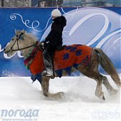 Предновогодний снегопад - подарок Владивостоку! 