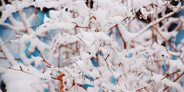 Владивосток получил снежный сюрприз к 8 марта (ФОТО)